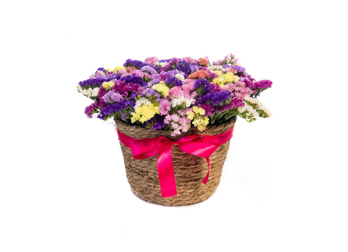 Statice in a Box or Basket — Basta Flowers, Limassol