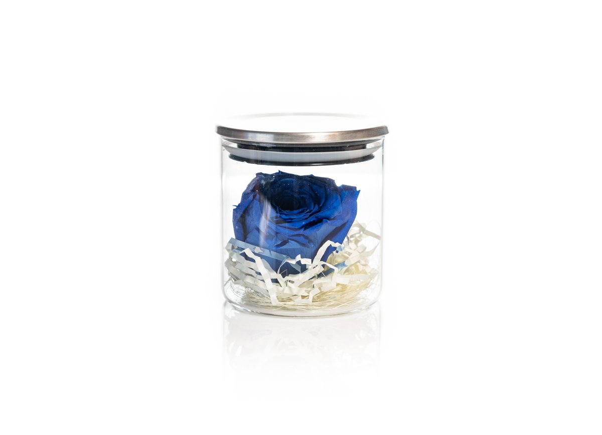 Blue Forever Rose — Basta Flowers, Limassol