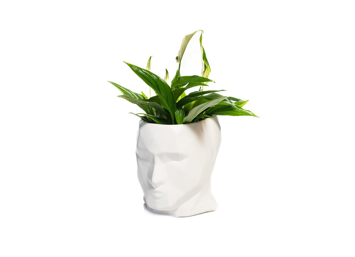 Face Vase with Plant — Basta Flowers, Limassol