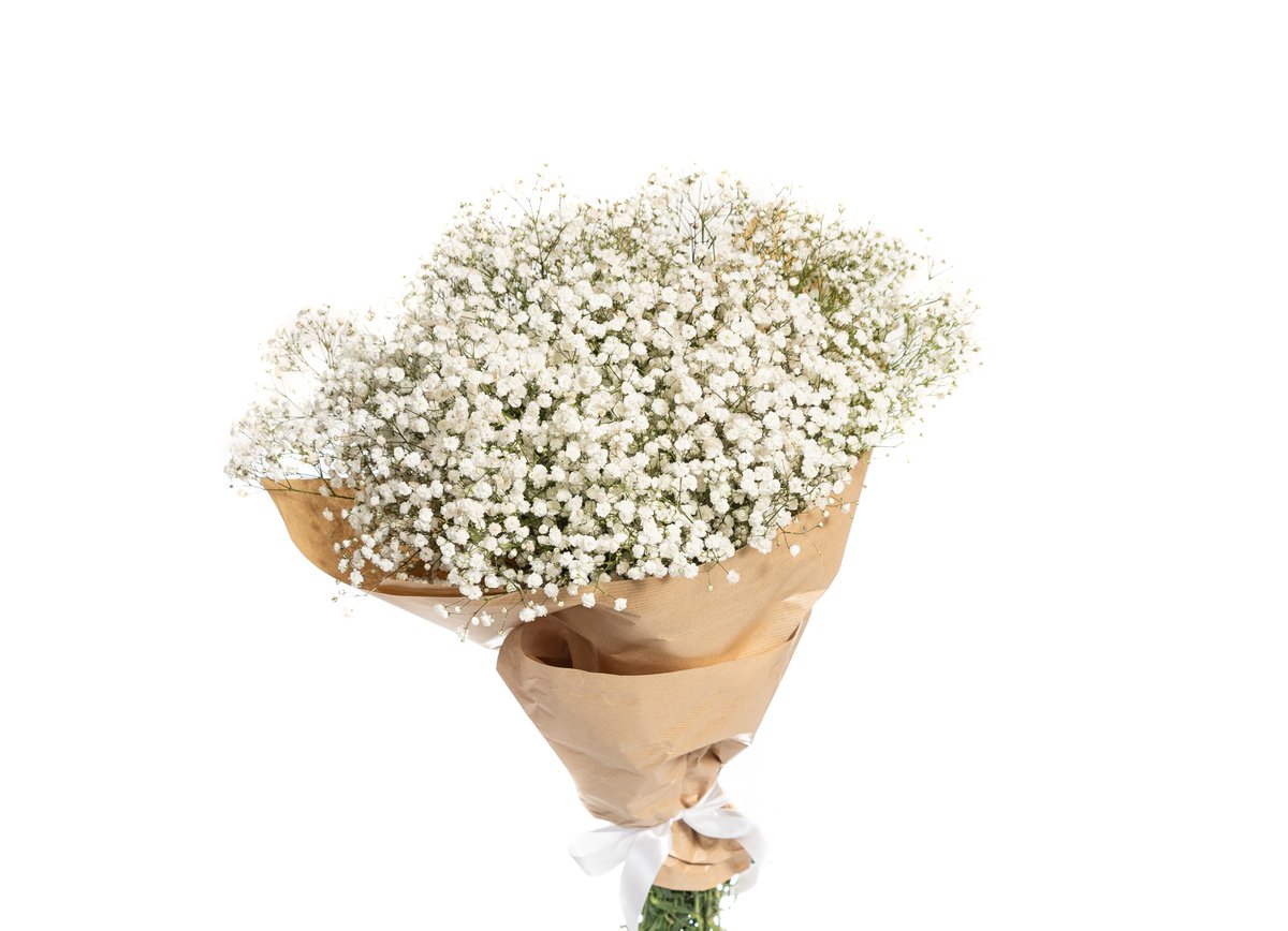 Gypsophila Bouquet — Basta Flowers, Limassol