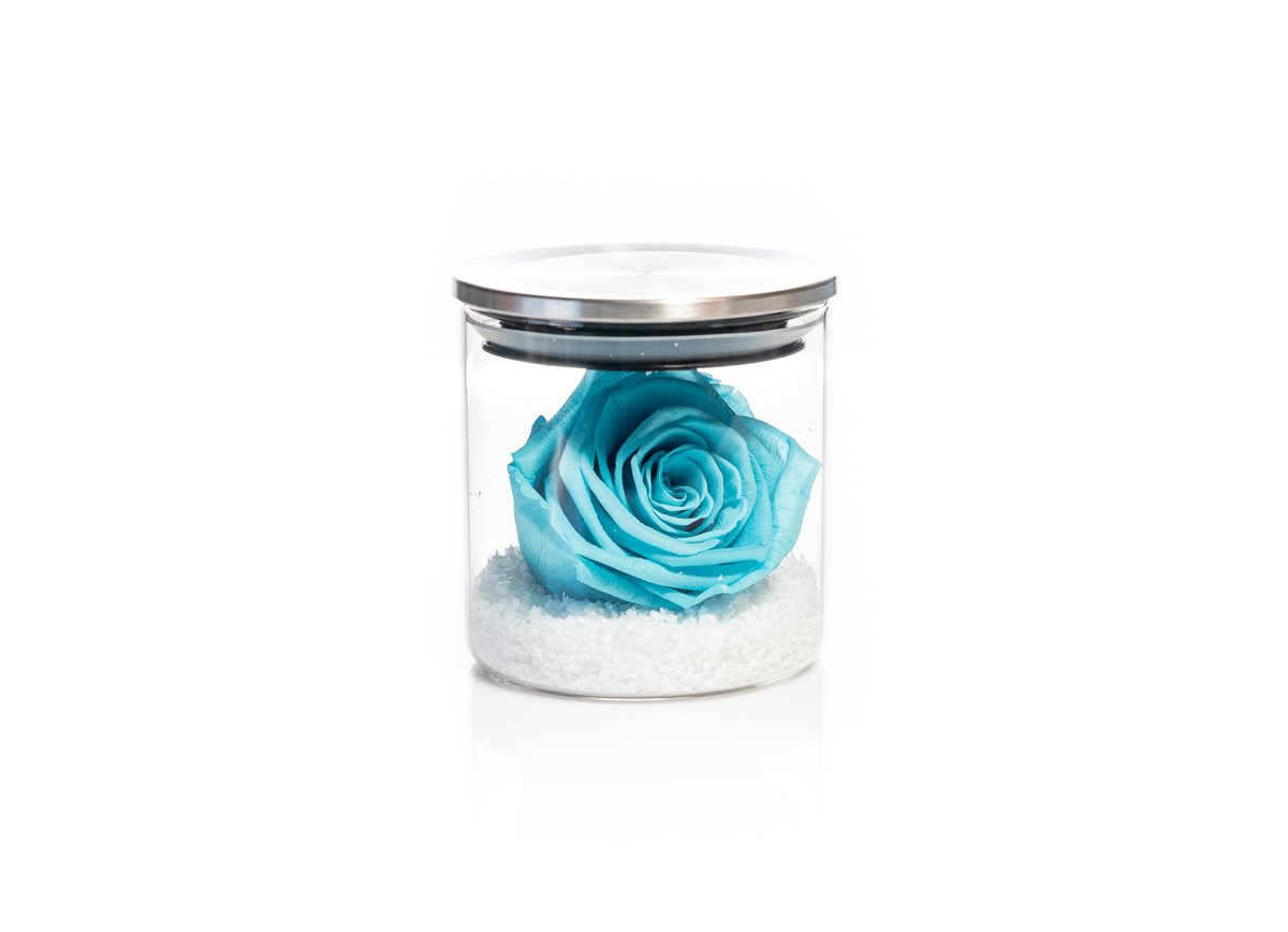 Light Blue Forever Rose — Basta Flowers, Limassol