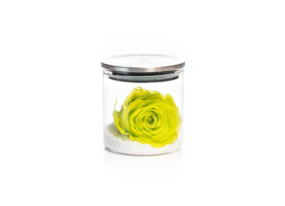 Light Green Forever Rose — Basta Flowers, Limassol