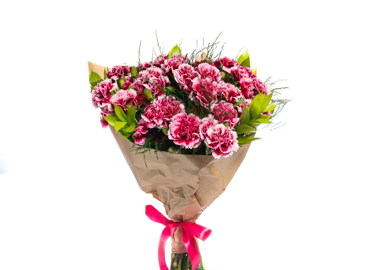 Mini Carnation Bouquet — Basta Flowers, Limassol