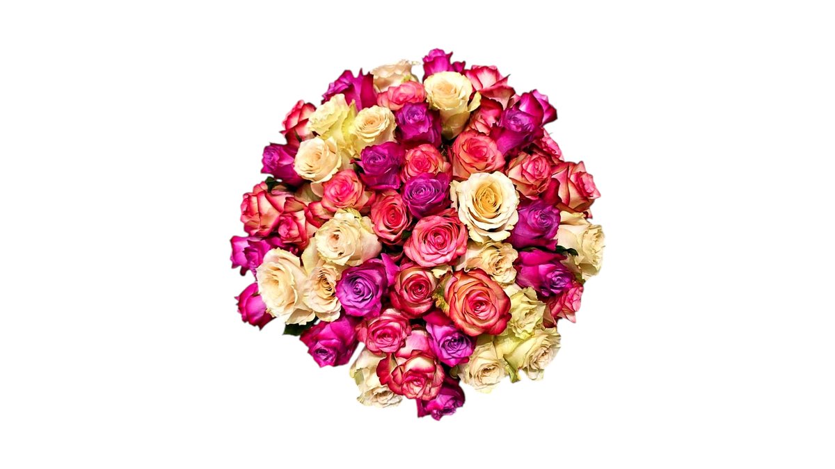 51 Mixed Roses — Basta Flowers, Limassol