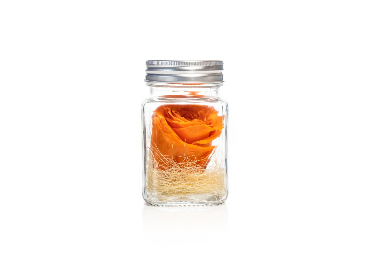 Orange Forever Rose — Basta Flowers, Limassol