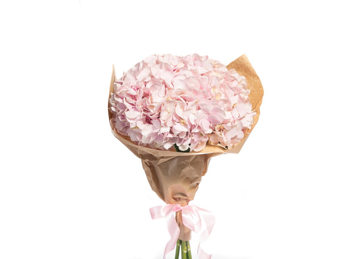 Hydrangea Bouquet — Basta Flowers, Limassol