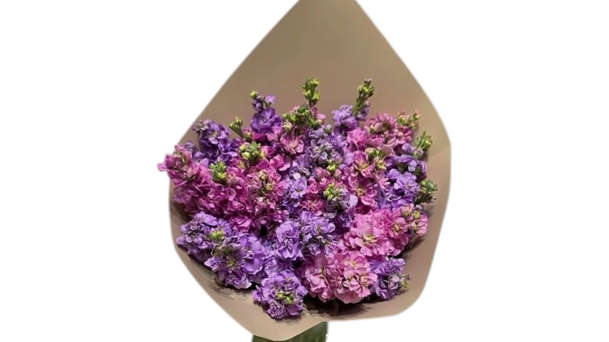 Pink & Purple Bloom — Basta Flowers, Limassol