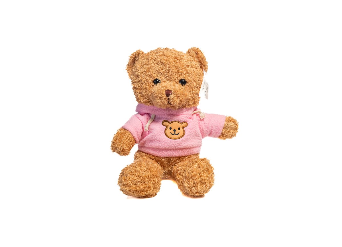 Pink Teddy Bear — Basta Flowers, Limassol