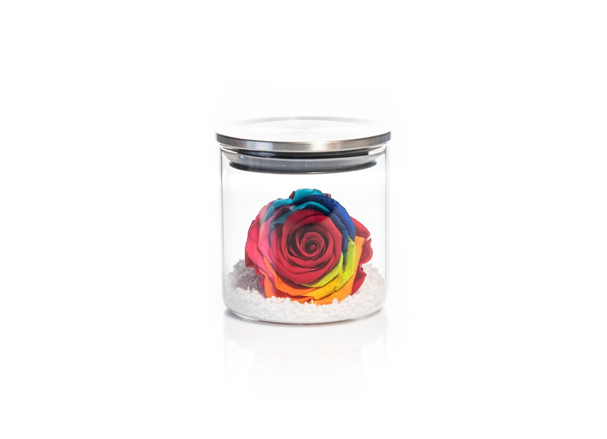 Rainbow Forever Rose — Basta Flowers, Limassol