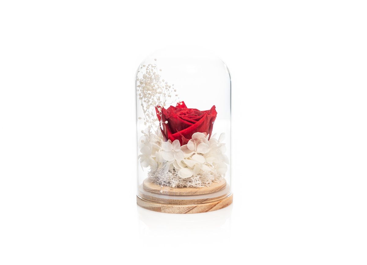 Red Forever Rose — Basta Flowers, Limassol