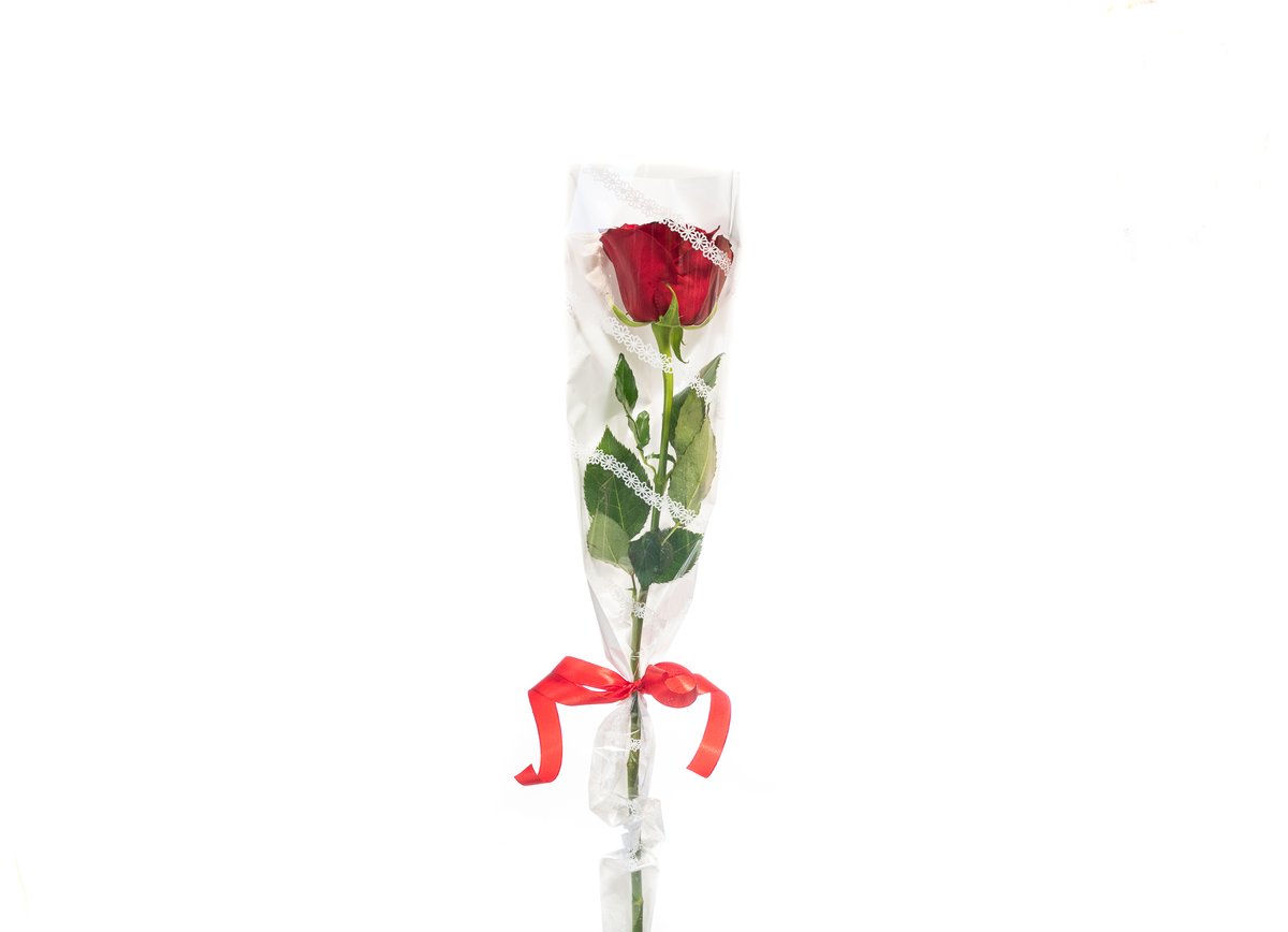 Single Rose — Basta Flowers, Limassol