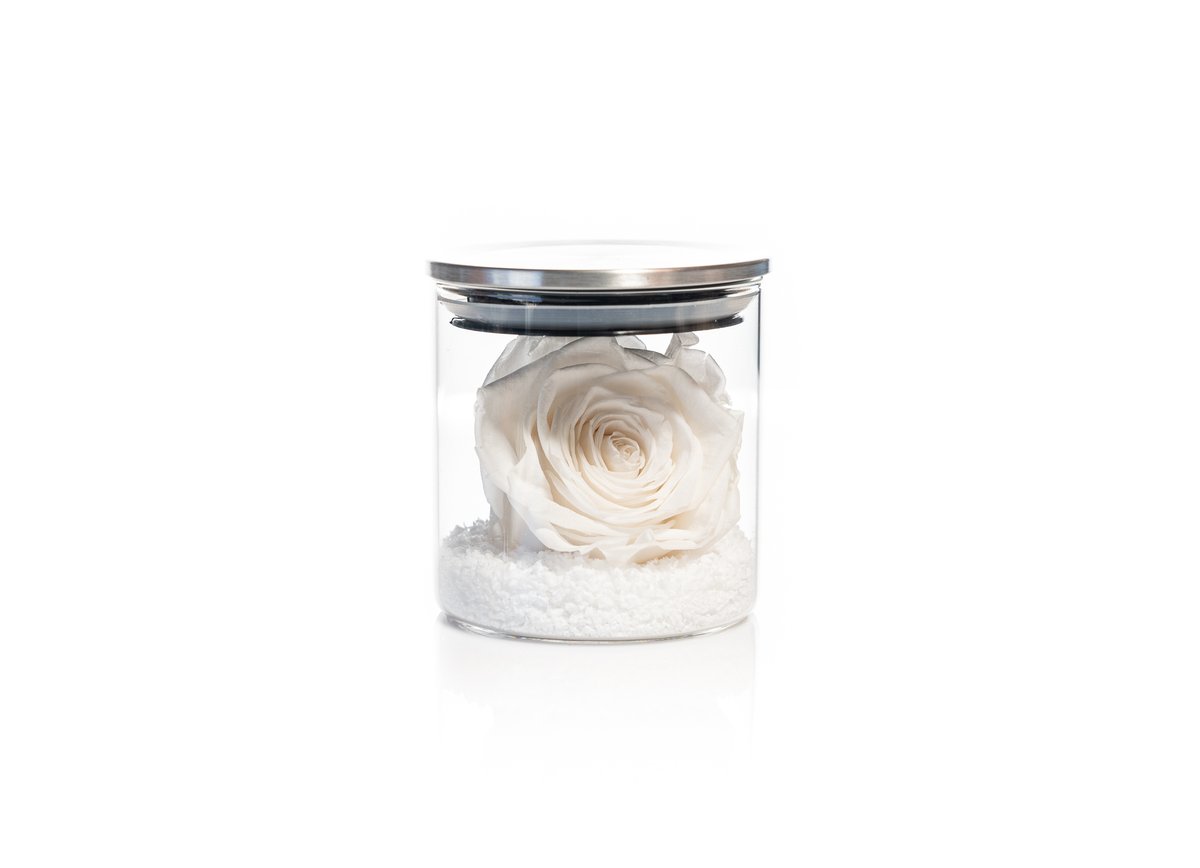 White Forever Rose — Basta Flowers, Limassol