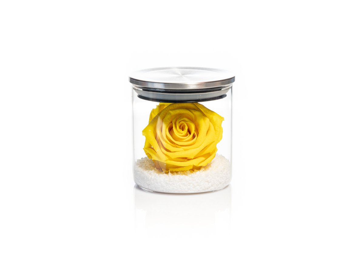 Yellow Forever Rose — Basta Flowers, Limassol